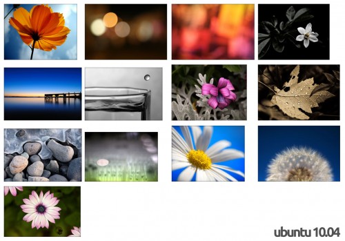 ubuntu 10.04 Wallpapers