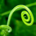 Spiral