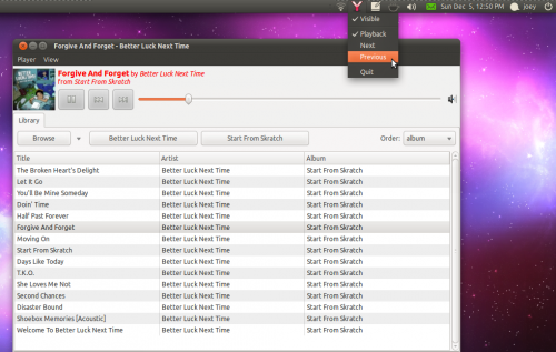 YouAmp music player in Ubuntu 