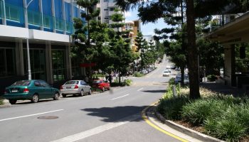SONY DSC