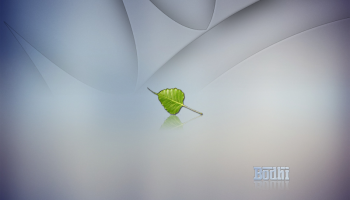Desktop Light Bodhi Theme