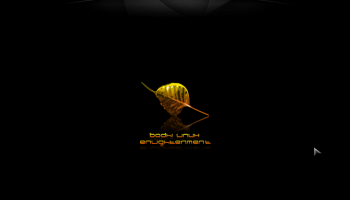 Laptop Dark Bodhi Theme