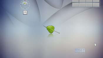Laptop Light Bodhi theme