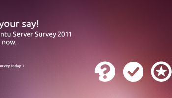 Ubuntu Server Survey