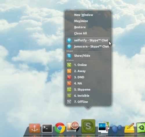 Skype control in Docky