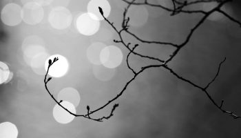 Touch_the_light_by_Matt_Katzenberger