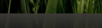 awn_mockup_taskmanager_with_window_title