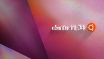 1104bis-w500