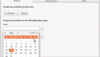 Activity Log Manager - History pane