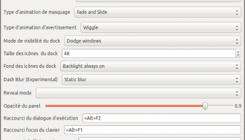 easily tweak unity settings in ubuntu with gunity