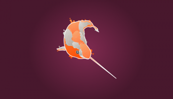 narwhal-wallpaper_SANSLOGO_2560.png