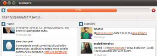 schizobird2