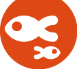 community_orange_hex
