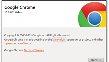 About Google Chrome_051