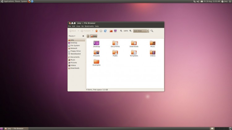 Ubuntu 10.04 Lucid desktop Ubuntu 10.04 Lucid desktop