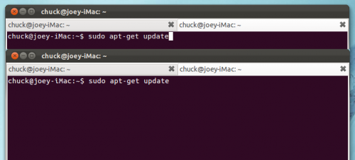 new ubuntu terminal font
