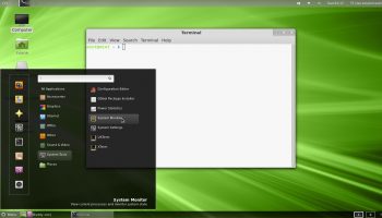 custom mint desktop