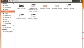 marlin file browser in Ubuntu 11.10