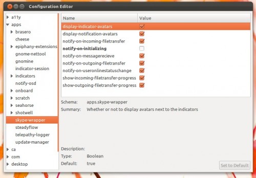 Skype-wrapper settings