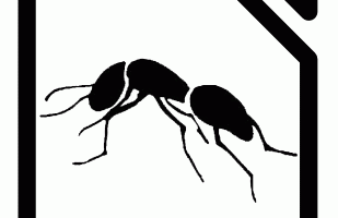 LibreOffice Bug Hunt