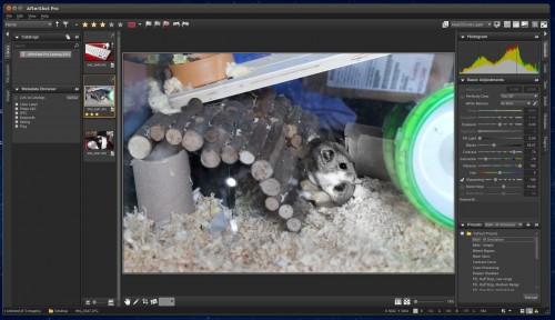 Corel AfterShot Pro in Linux Corel AfterShot Pro in Linux
