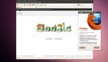 Firefox 3.6 in Ubuntu 10.04