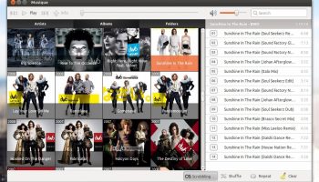 album view in musique