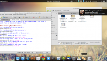 Entire desktop with Plank