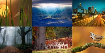 Download Chrome OS’s 50 New Wallpapers