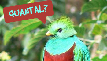 Ubuntu 12.10 Named ‘Quantal Quetzal’