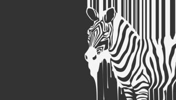 zebra