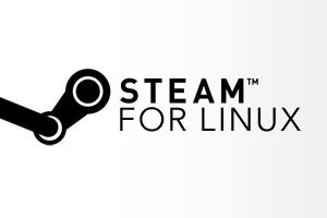 [How To] Login to Steam Big Picture Mode in Ubuntu