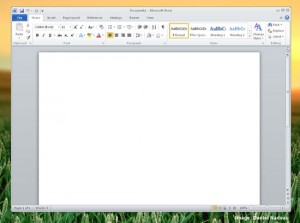 Microsoft Office Running Under WINE
