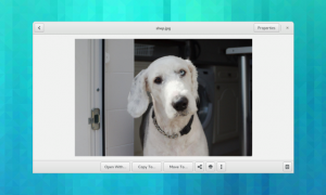 A new file preview screen.