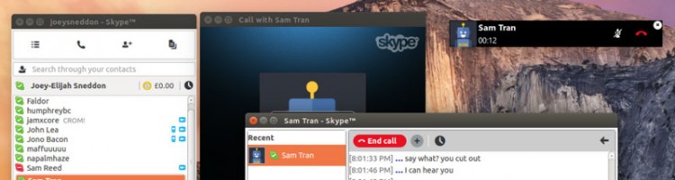 Skype 4.3