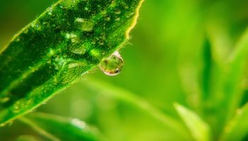 Mike Sinko wallpaper