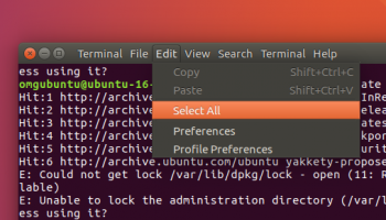locally integrated app menus