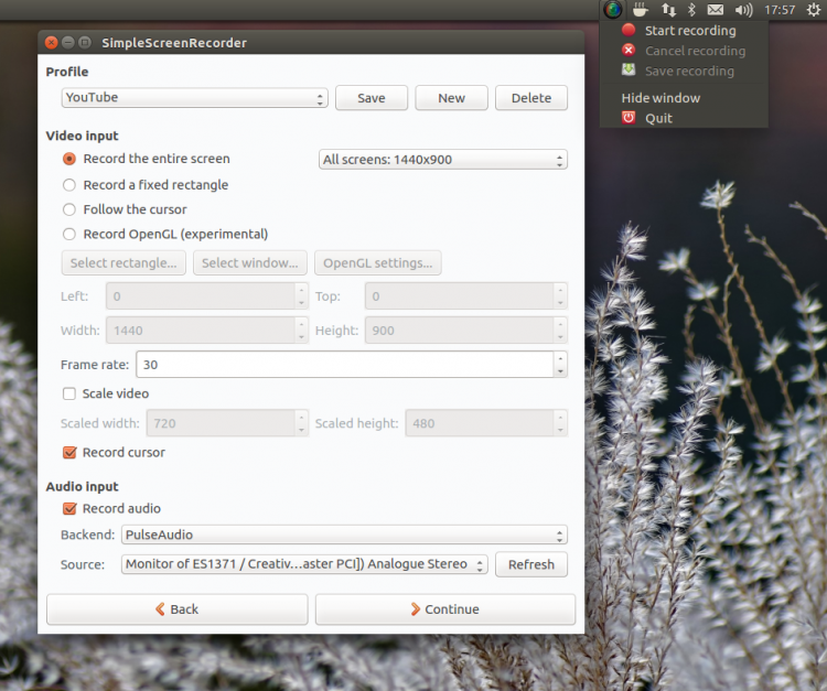 simple screen recorder