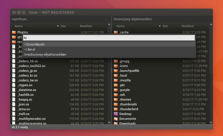 fman file manager search