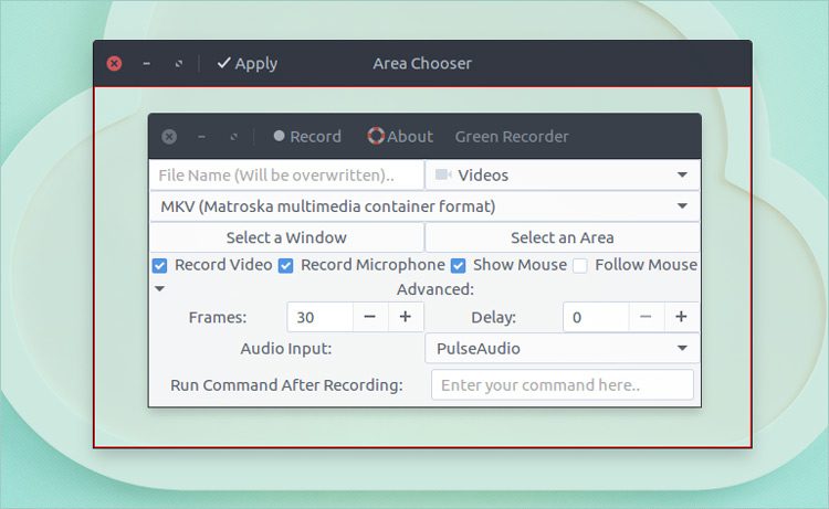 green recorder 2.0 screenshot