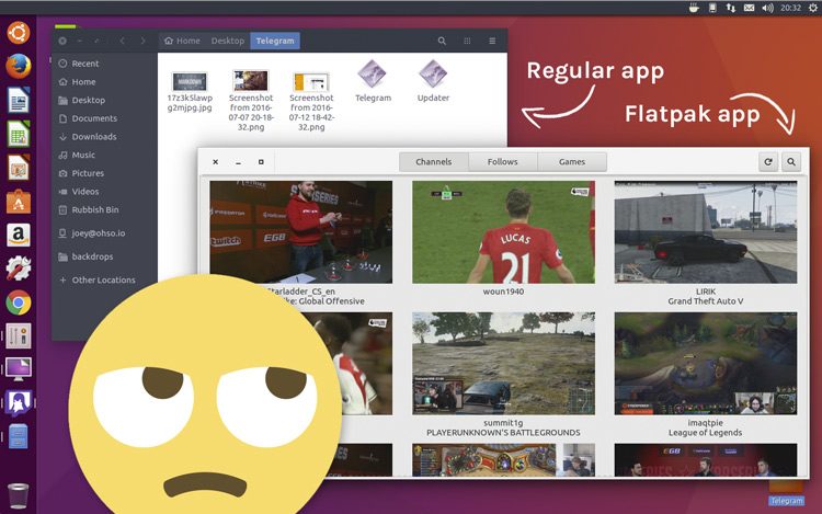 flatpak theme issue