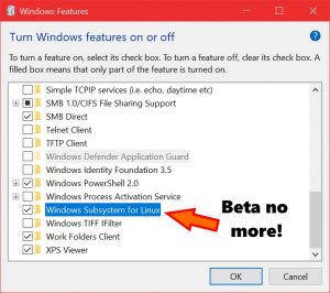 WSL listed in Windows Features