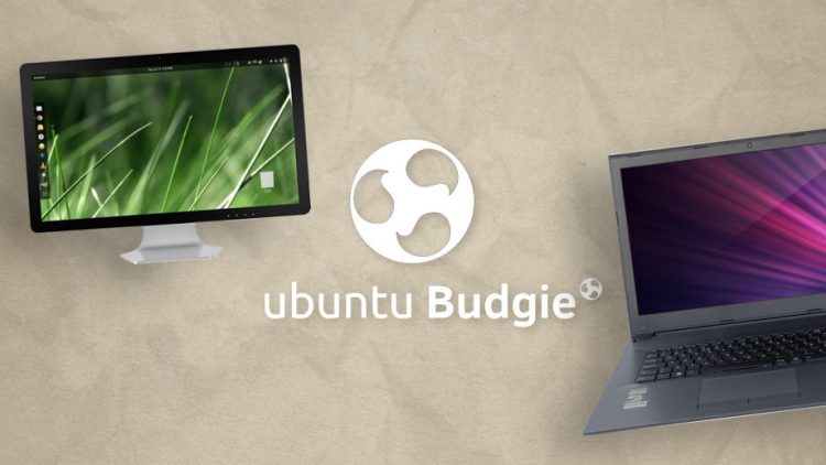 ubuntu budgie nimusoft deal?
