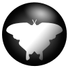 qqmp logo