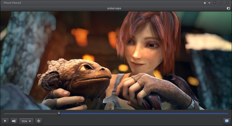 movie monad gtk video player