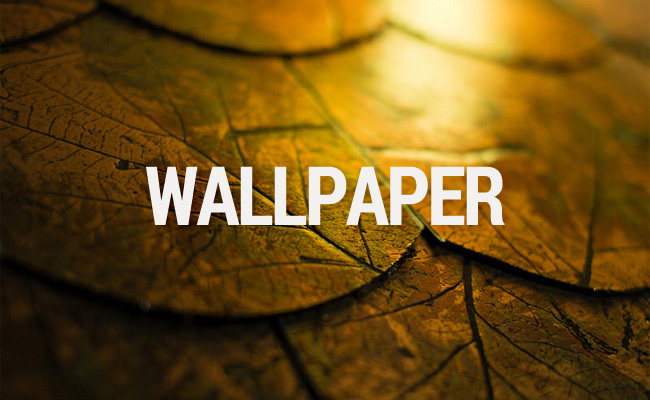 Ubuntu Wallpaper Contest Closes These Are Our 8 Faves Omg Ubuntu
