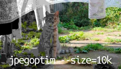 jpegoptimise example