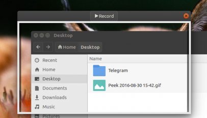 peek gif recorder