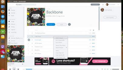 spotio spotify skin on ubuntu
