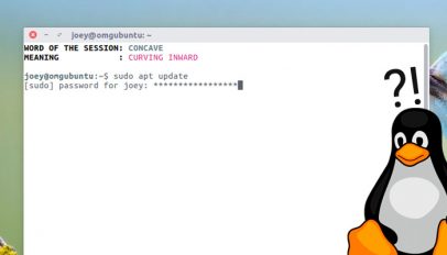 sudo visible